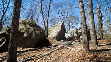 Long Island's pine barrens include this area near