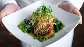 Roasted black sea bass with spring pea broth,