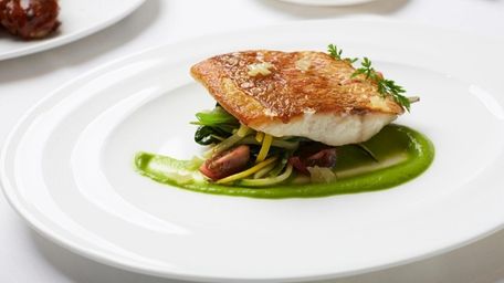 Roasted red snapper arrives on a vegetable fricassee