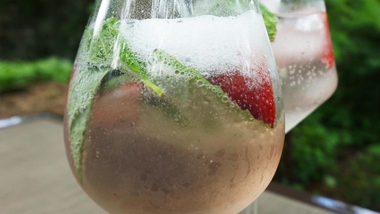 A Spanish-style gin and tonic is served in