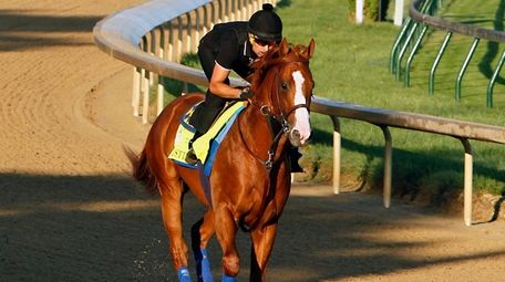 Exercise rider Humberto Gomez guides Kentucky Derby and