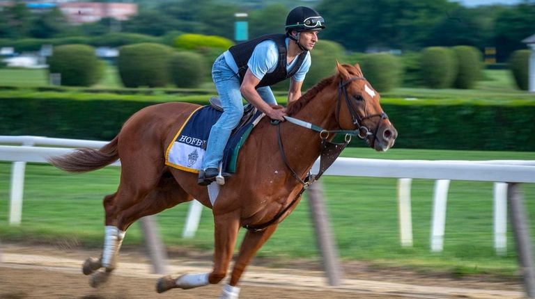 Belmont Stakes hopeful Hofburg gallops around the track