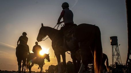 Horses go out for training at Belmont Park