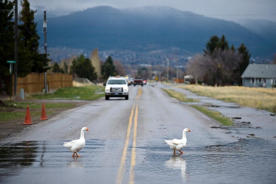 A scene from the Helena Valley Monday, April