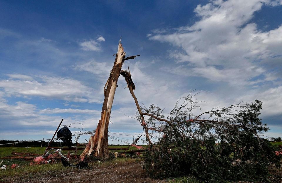 A large tree and fence line are destroyed