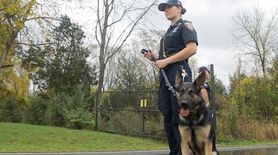There's a special relationship between an MTA canine
