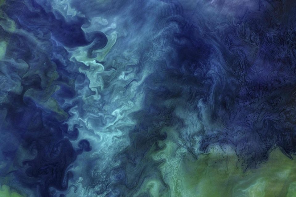 Blooms of phytoplankton forming patterns of blue and