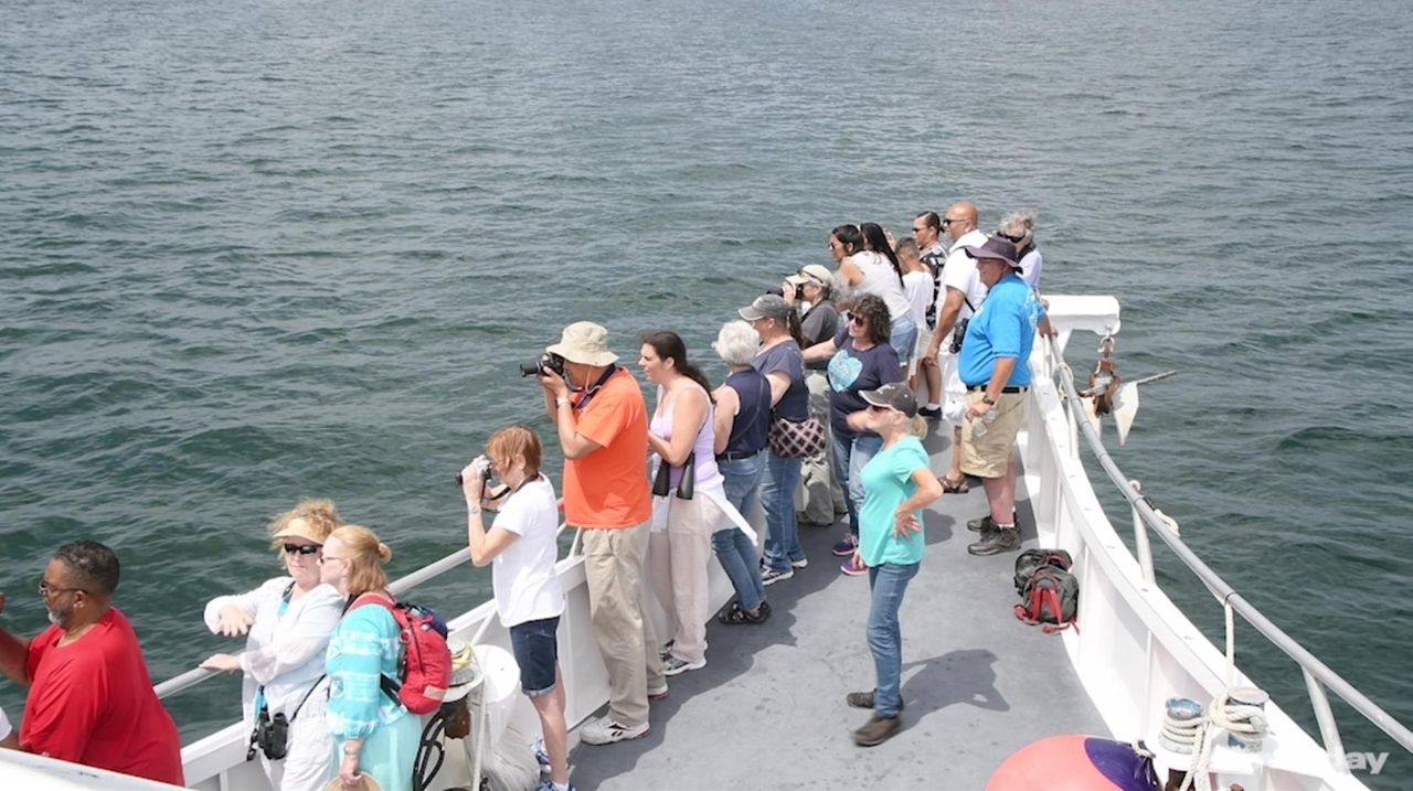 Long Islanders looking to see a humpback whale