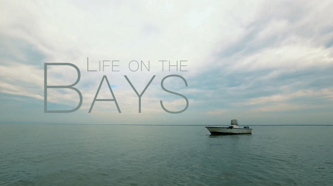 From the bays surrounding Long Island come stories