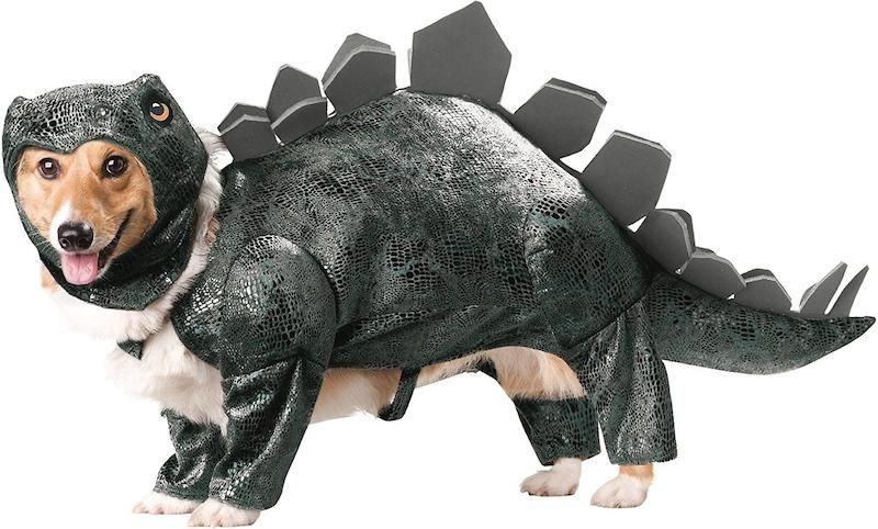 Halloween Costumes For Pets Newsday