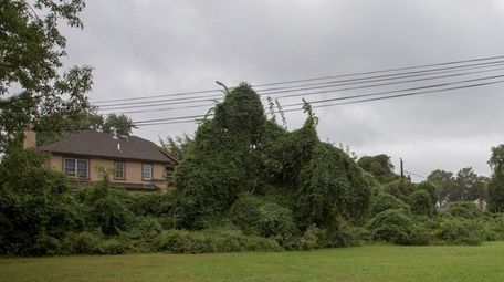 Property on Terrehans Lane in Syosset is protected