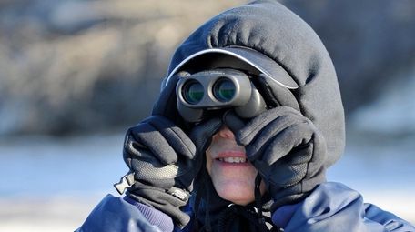 Tina Melkin of Woodbury searches for seals in