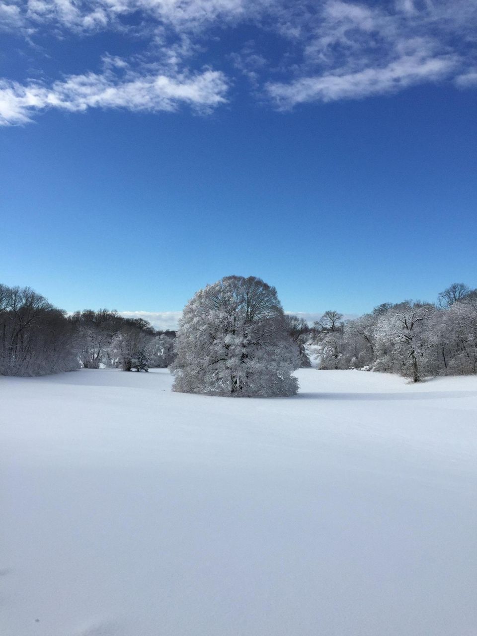WHERE Caumsett State Historic Park Preserve, 25 Lloyd
