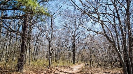 The credit program compensates landowners in the core