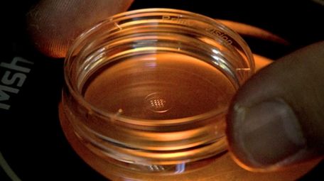 In this Oct. 9, 2018 photo, an embryologist