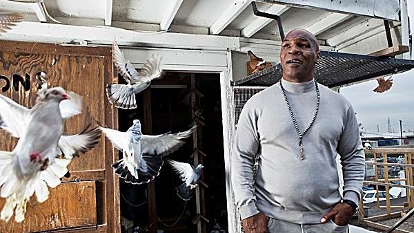 Mike Tyson takes flight with pigeon-racing series | Newsday