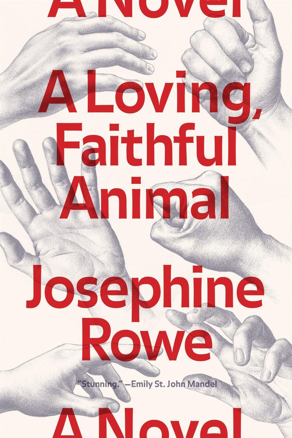A LOVING, FAITHFUL ANIMAL, by Josephine Rowe. In