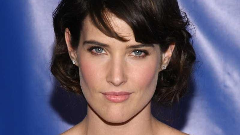 How I Met Your Mother Finale Clip Cobie Smulders On Cbs Sunday 9800