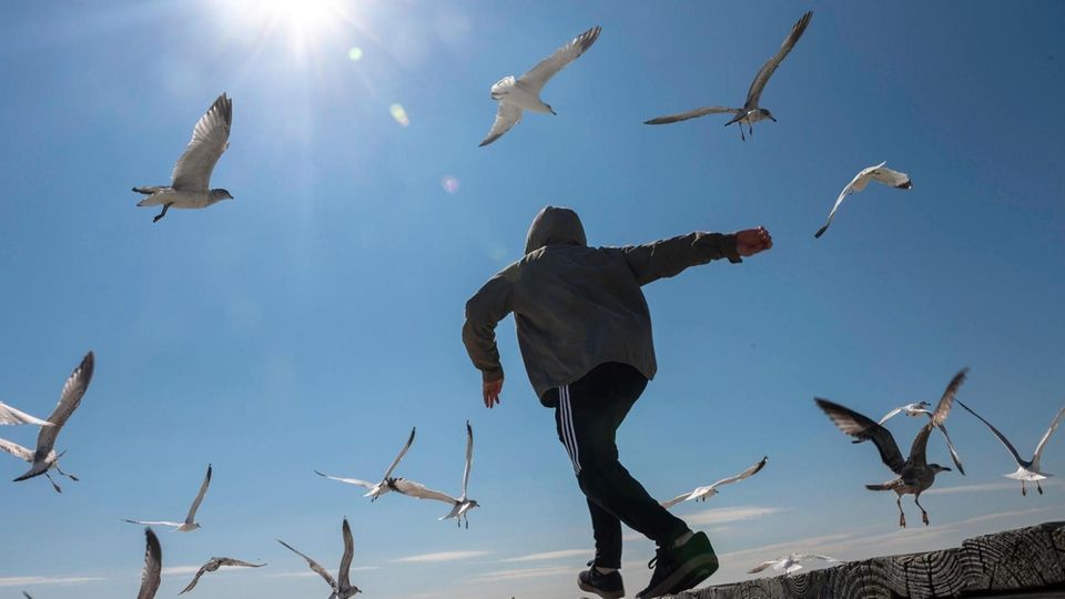 Sebastian Herrera, 14, of Freeport chases after seagulls