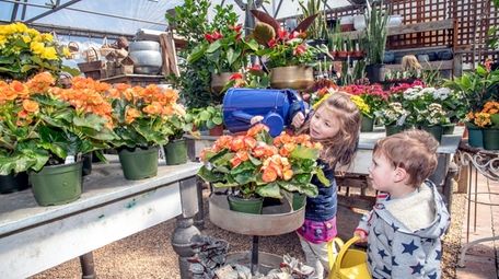 Mia Pinelli, 3, and her brother Joey, 2,