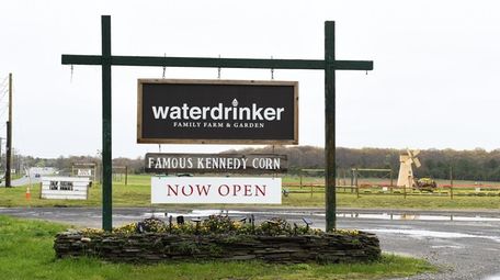 Waterdrinker Farm on Wading River Road in Manorville.