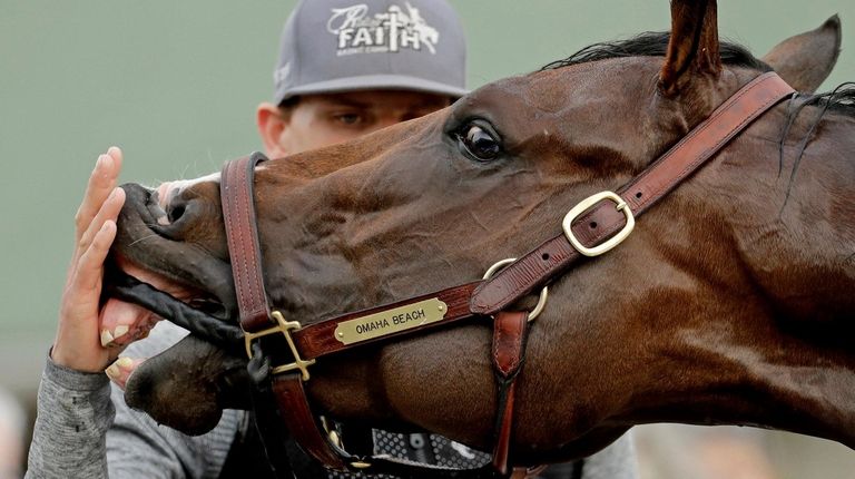 Kentucky Derby Favorite Omaha Beach Scratched Newsday