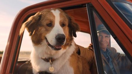 A Dog S Journey Review Corny But Effective Tearjerker For Kids