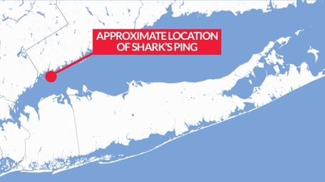 Approximate location of shark's ping on Long Island