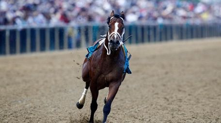 Bodexpress runs in the 144th Preakness Stakes horse