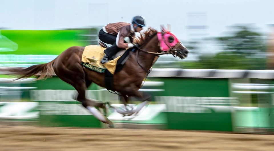 Jockey Koichi Tsunoda dashing through the last straight