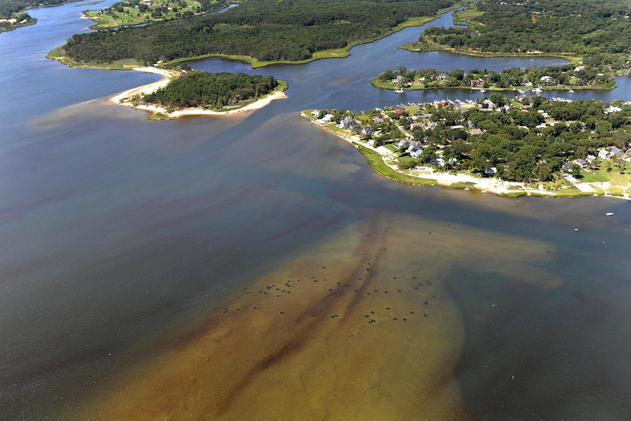 Long Island Water Quality - NMGDB - Newsday