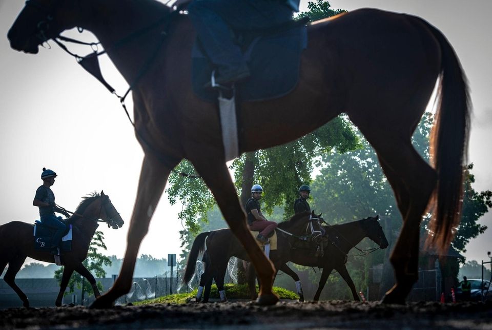 Horses going and coming from the track during