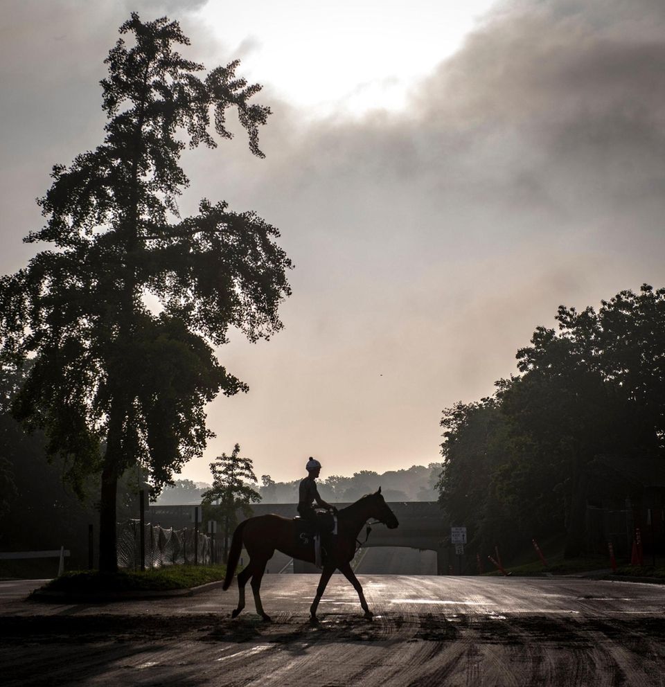 Horses leaving the track after their worout at