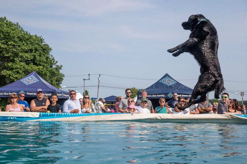 A participant jumps into a pool of water