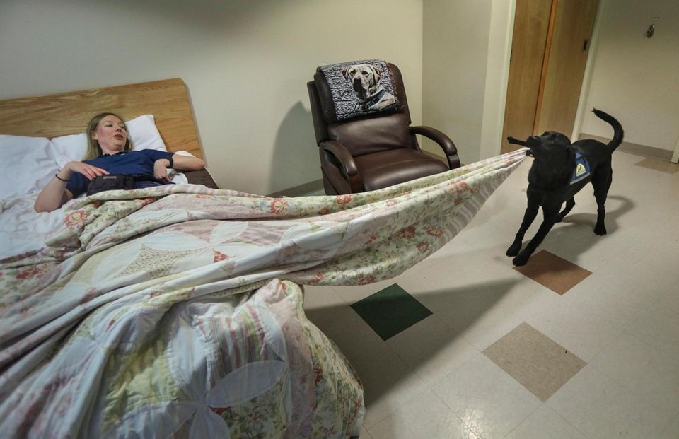 Instructors at the Northeast regional headquarters of Canine