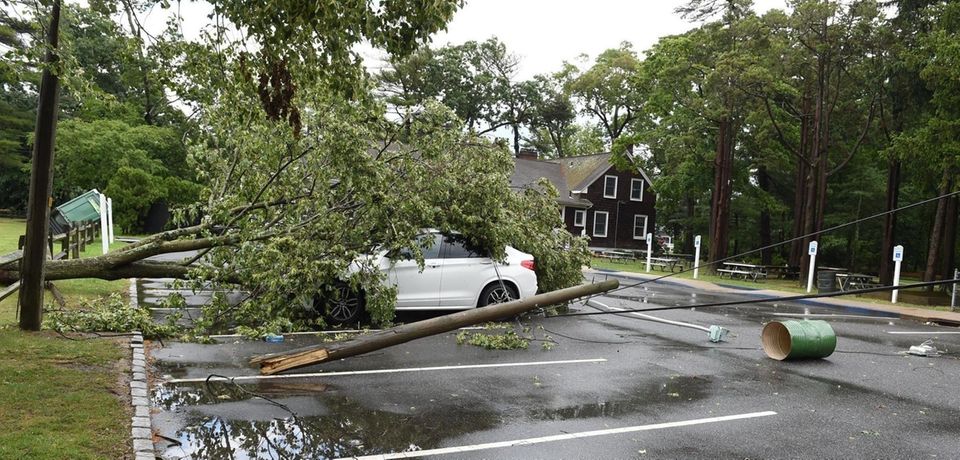 A tree down on a car in the