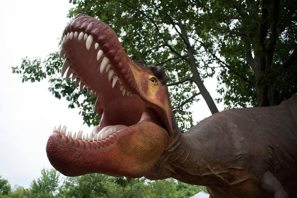 Long Island's newest tourist and educational attraction is