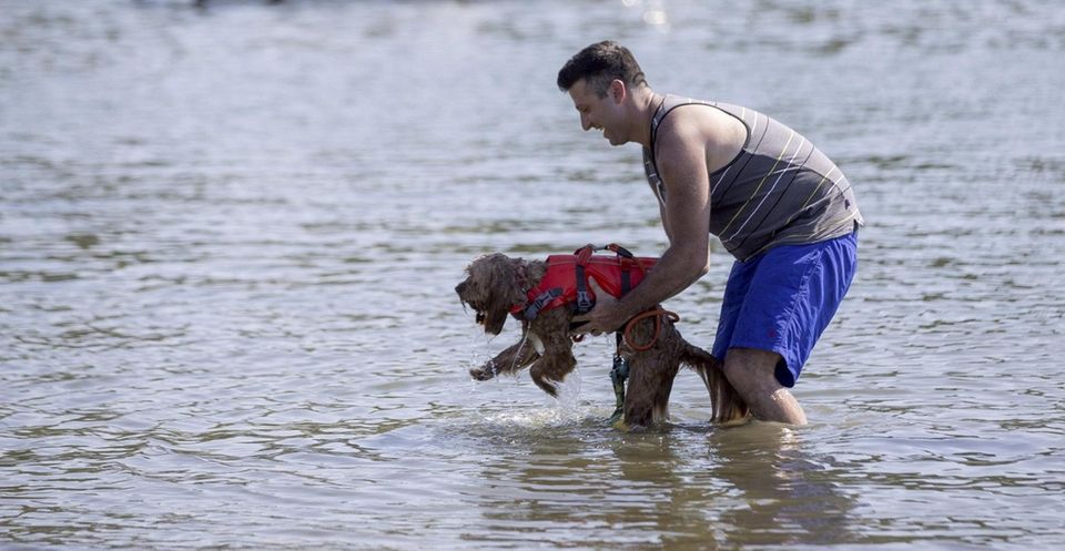 Mike Constantino and his dog Teddy enjoy the