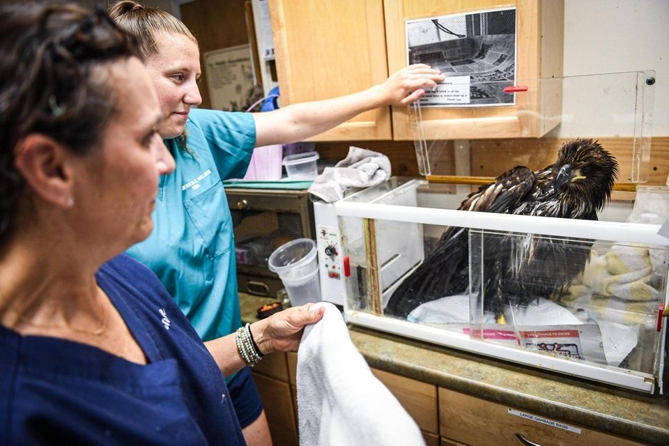 Volunteer Anna Krage, left, and Janice Bendicksen, Director