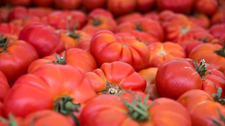 Tips and chores for gardening in August.