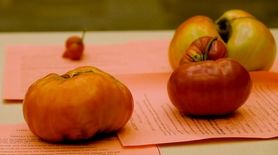 Gardeners from around Long Island competed in the