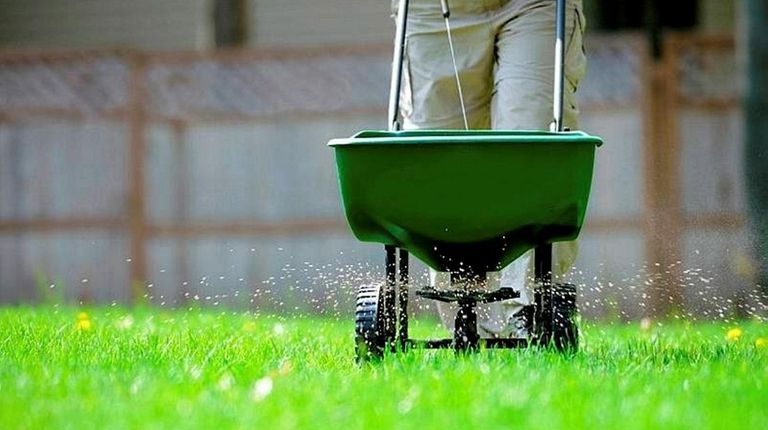 September is a great month for reseeding and