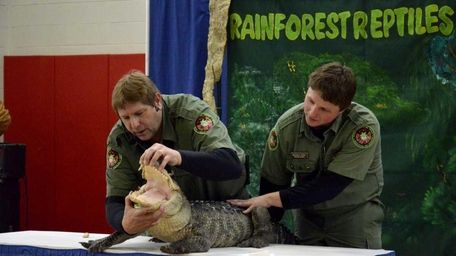 Michael K. Ralbovsky, herpetologist for the Rainforest Reptile