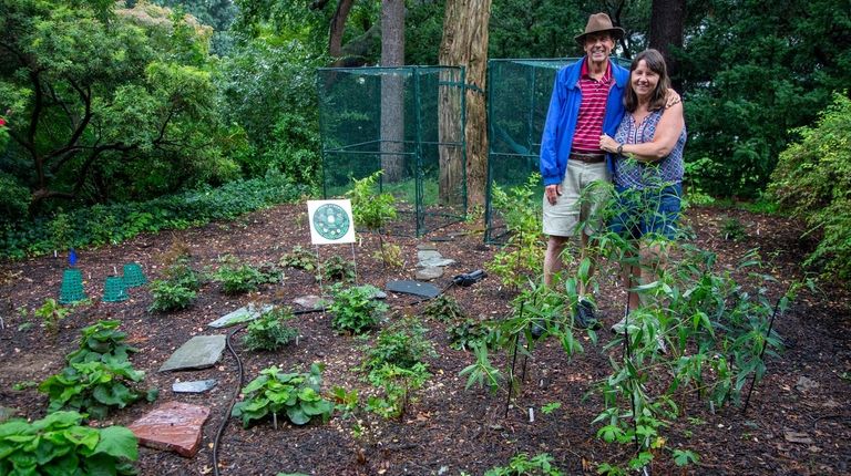 Port Washington Residents Embrace Rewilding Movement To Help