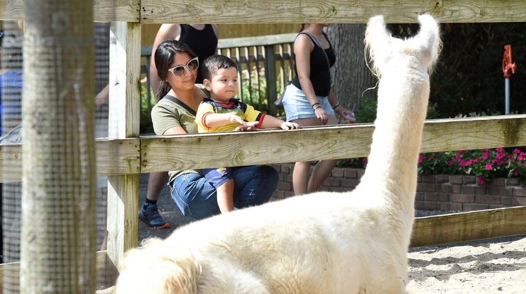 Diana Bravo, of Ronkonkoma, and her 16-month-old nephew