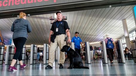 A bomb-sniffing dog screens passengers Sunday at the