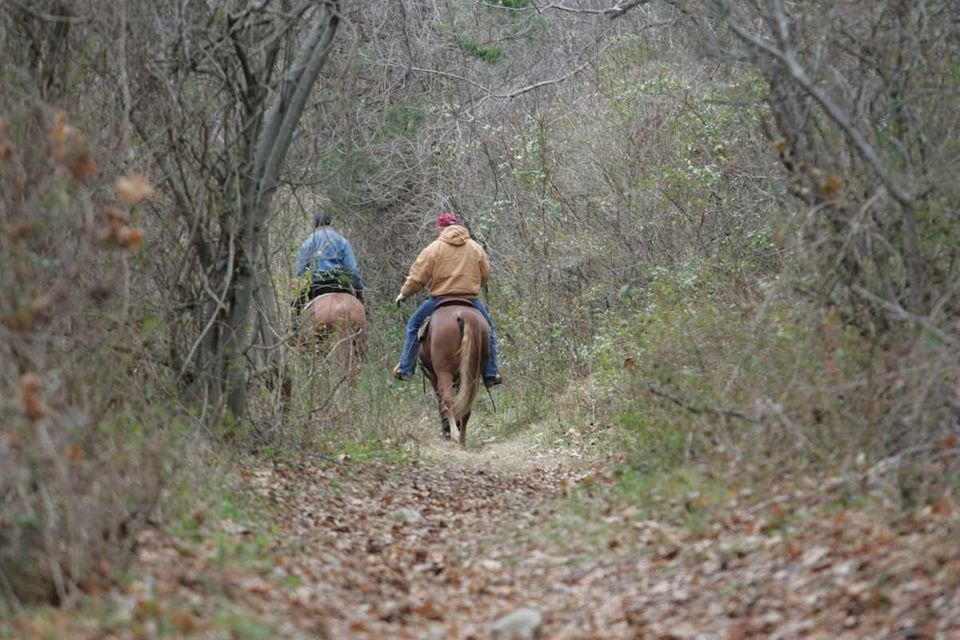 Two horseback riders on a small section of