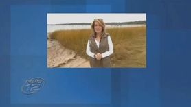 Carol Silva, the veteran News 12 anchor and
