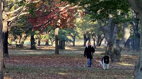 Walking the dog in Eisenhower Park, Thursday morning,