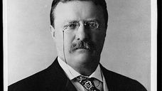 Theodore Roosevelt was the 26th president.